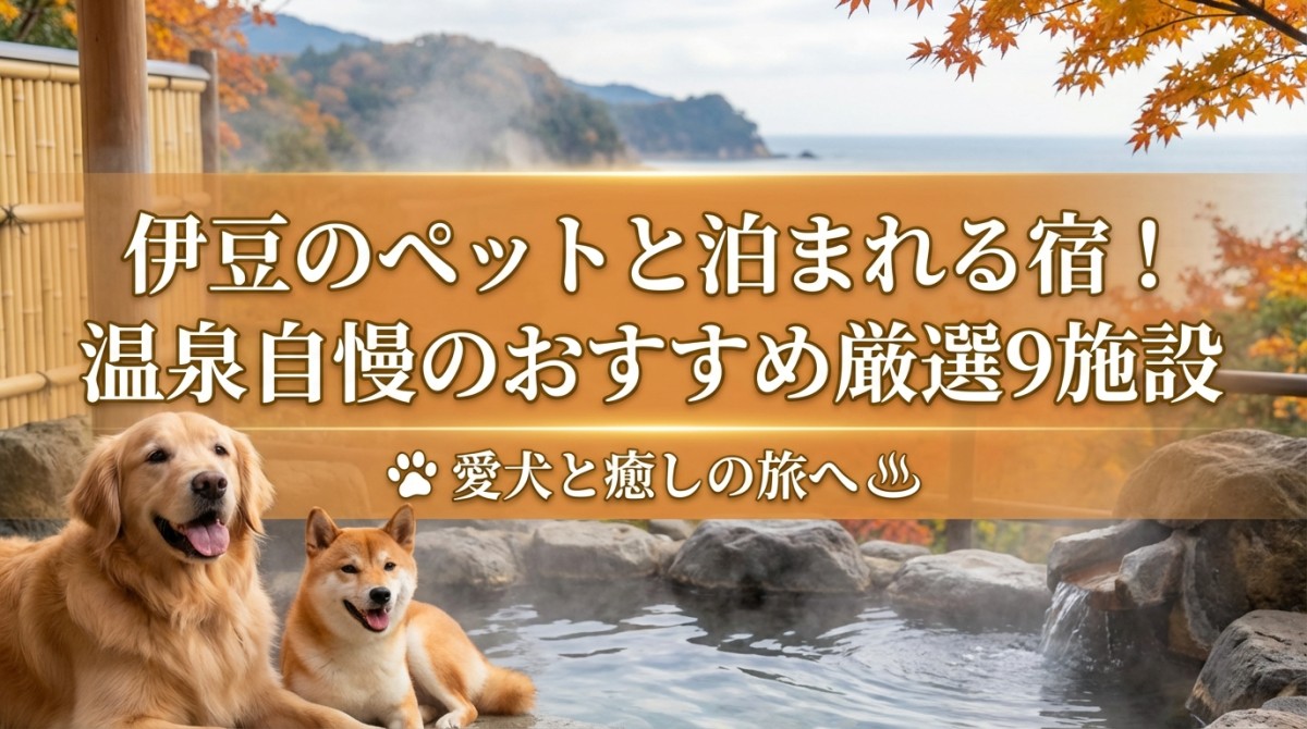 伊豆のペットと泊まれる宿!温泉自慢のおすすめ厳選9施設