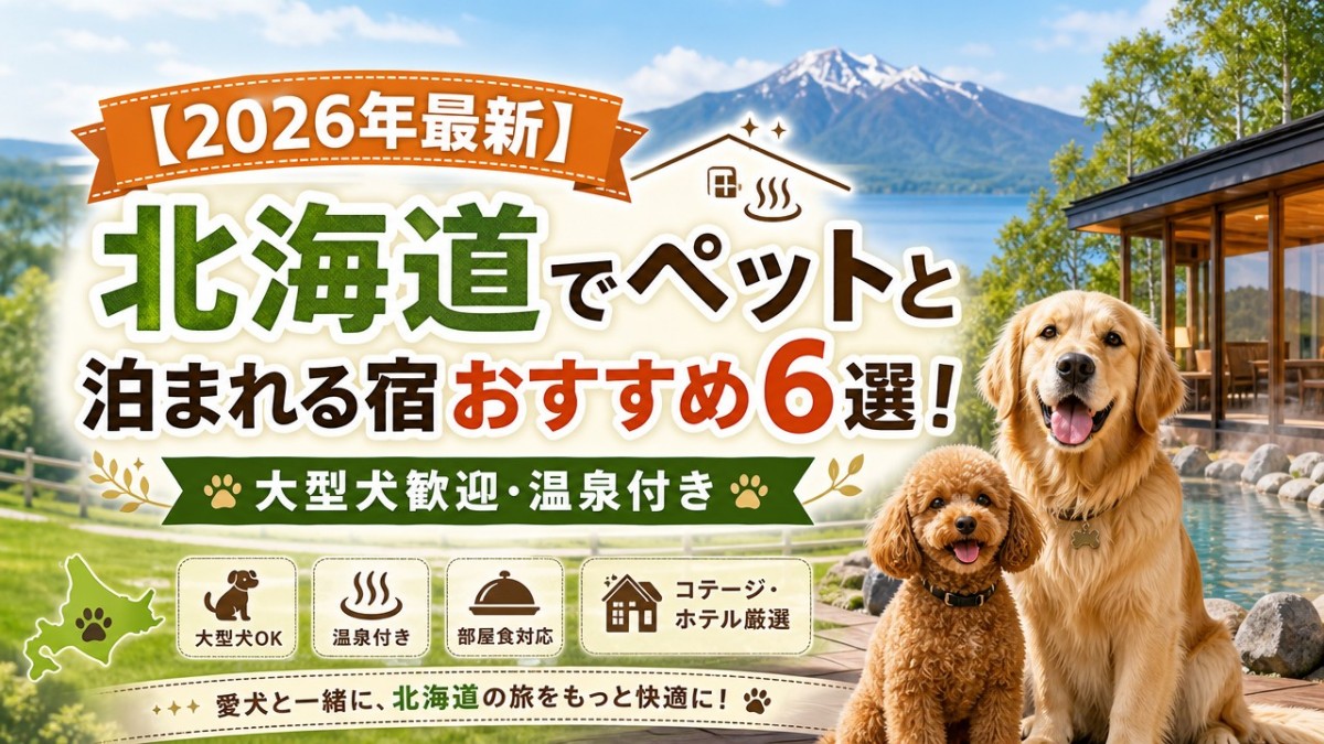 【2026年最新】北海道でペットと泊まれる宿おすすめ6選!大型犬歓迎・温泉付き