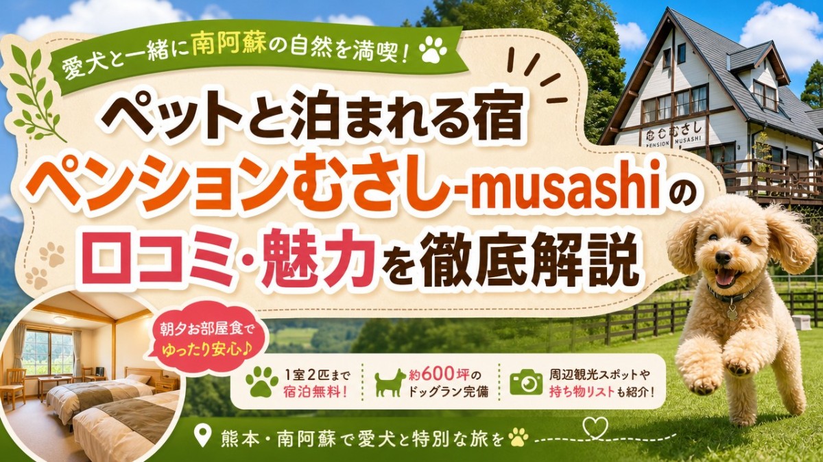 ペットと泊まれる宿ペンションむさし-musashiの口コミ・魅力を徹底解説