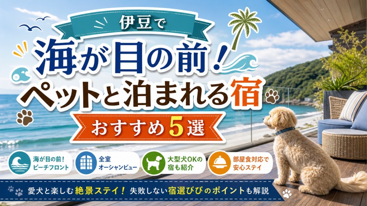伊豆で海が目の前!ペットと泊まれる宿おすすめ5選