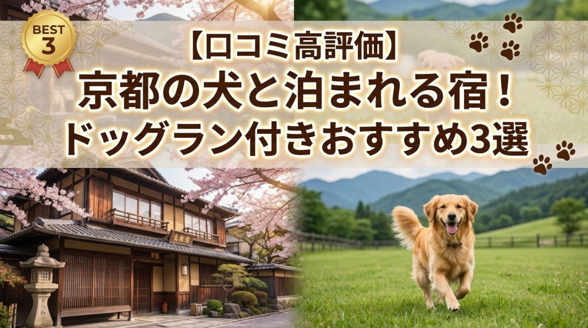 【口コミ高評価】京都の犬と泊まれる宿!ドッグラン付きおすすめ3選