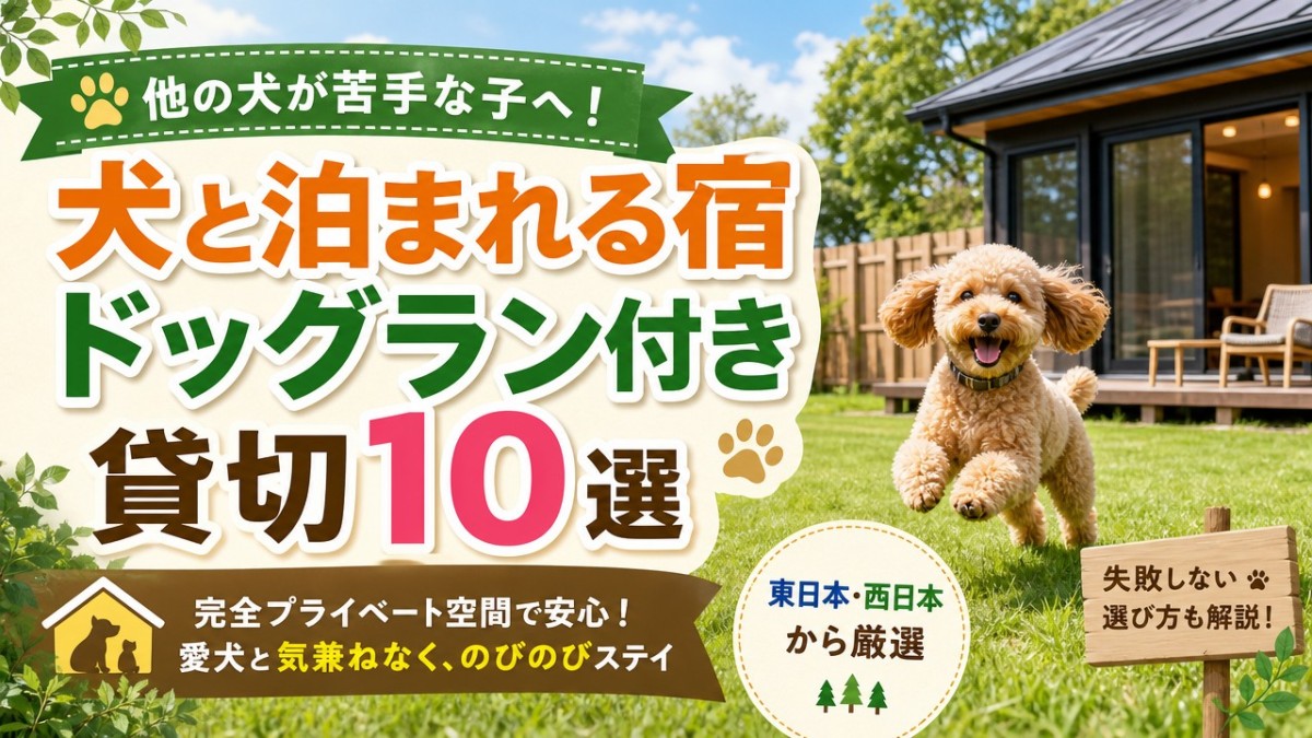 他の犬が苦手な子へ!犬と泊まれる宿ドッグラン付き貸切10選