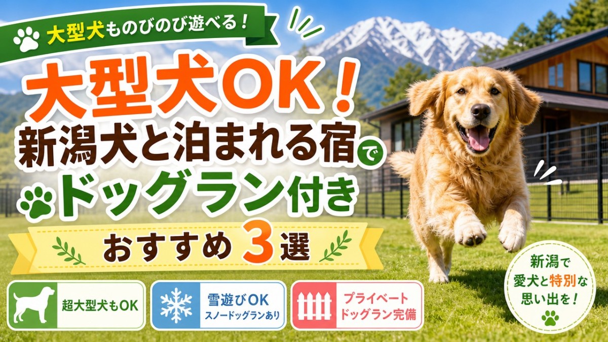 大型犬OK!新潟犬と泊まれる宿でドッグラン付きおすすめ3選