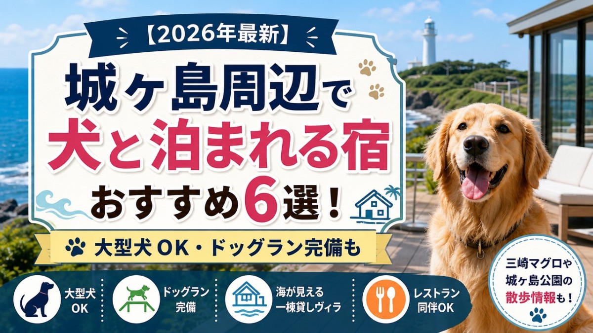 【2026年最新】城ヶ島周辺で犬と泊まれる宿おすすめ6選!大型犬OK・ドッグラン完備も