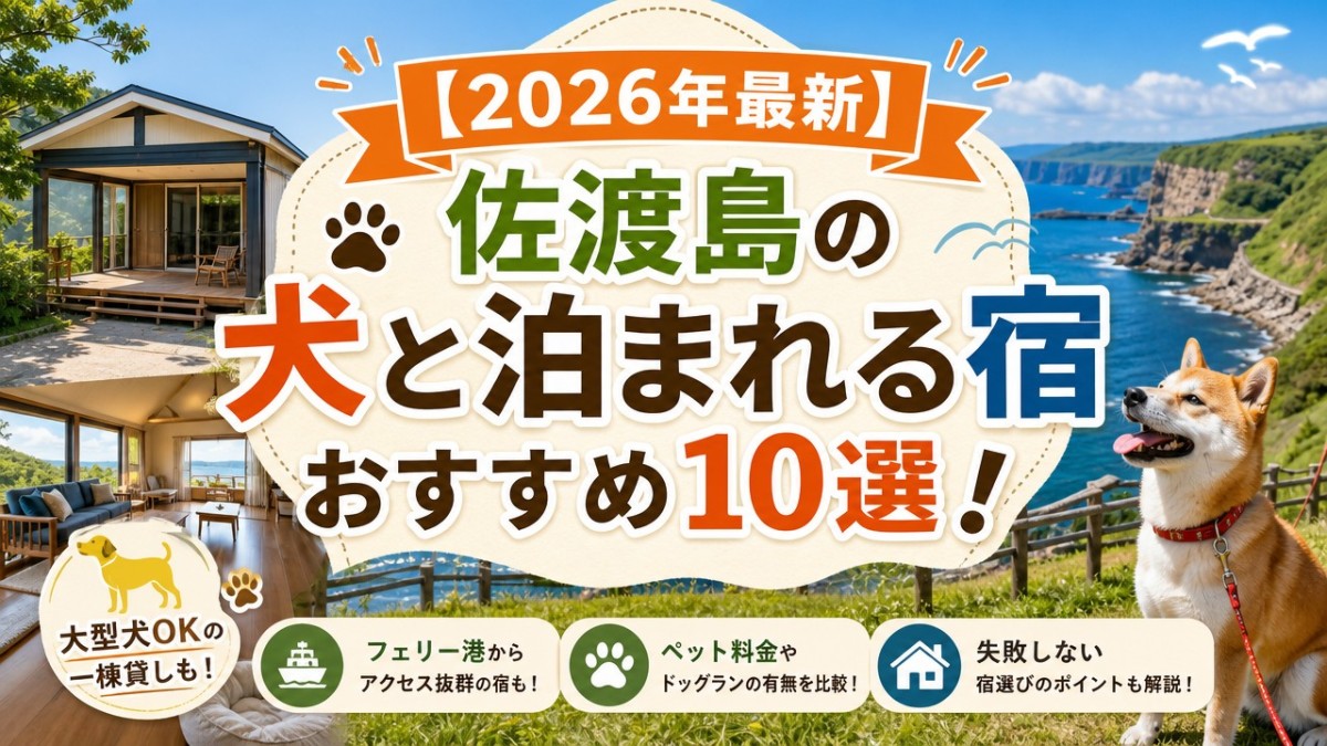 【2026年最新】佐渡島の犬と泊まれる宿おすすめ10選!大型犬OKの一棟貸しも