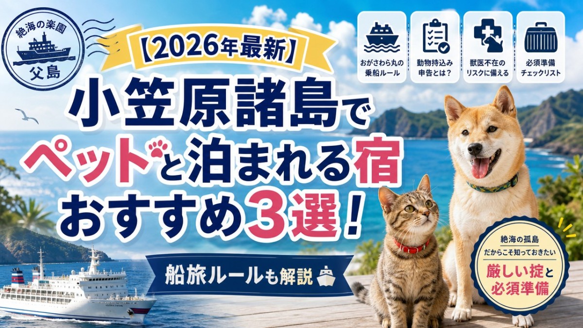 【2026年最新】小笠原諸島でペットと泊まれる宿おすすめ3選!船旅ルールも解説