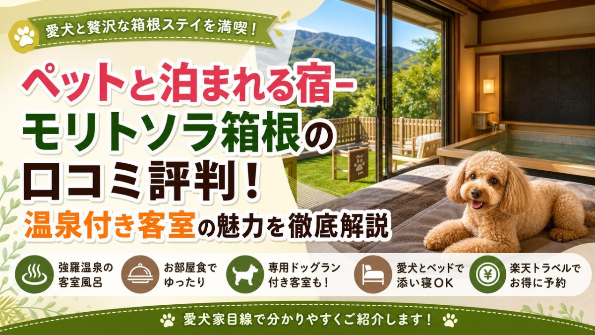 ペットと泊まれる宿-モリトソラ箱根の口コミ評判!温泉付き客室の魅力を徹底解説