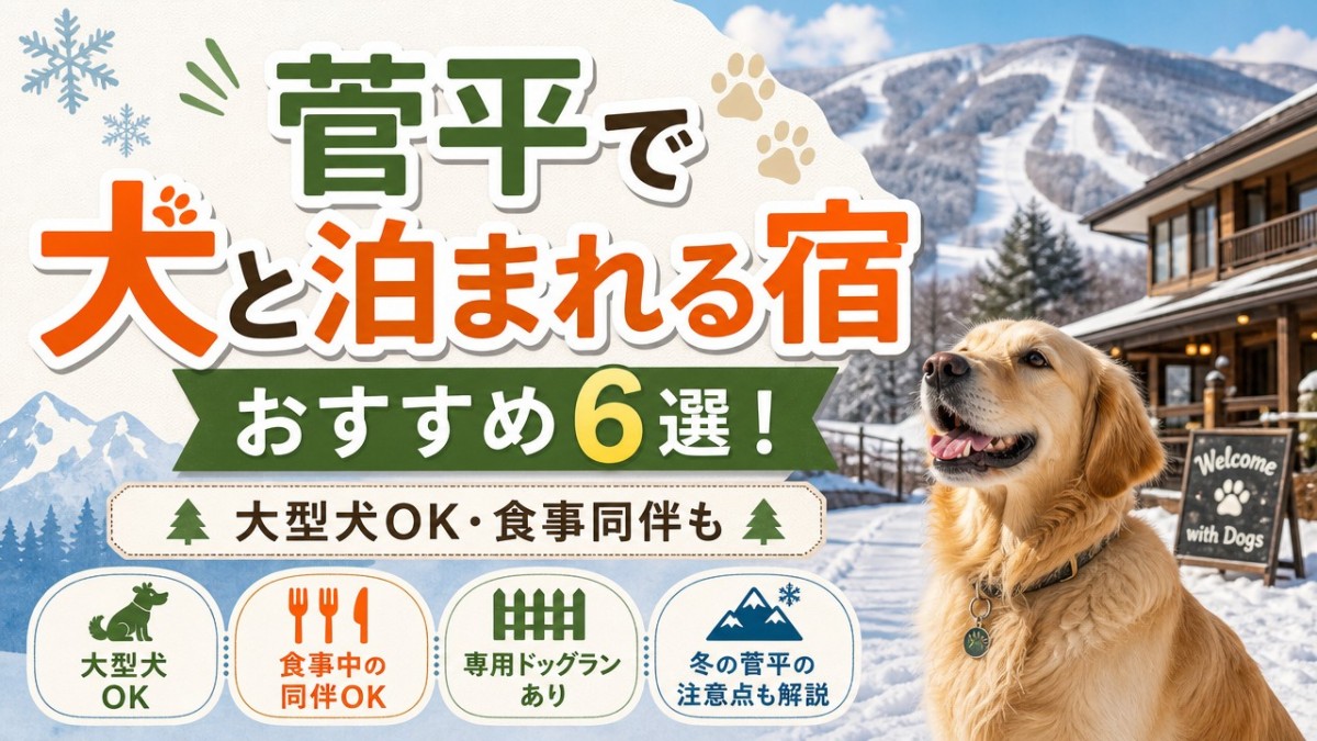 菅平で犬と泊まれる宿おすすめ6選!大型犬OK・食事同伴も