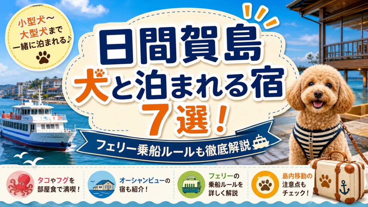 日間賀島犬と泊まれる宿7選!フェリー乗船ルールも徹底解説