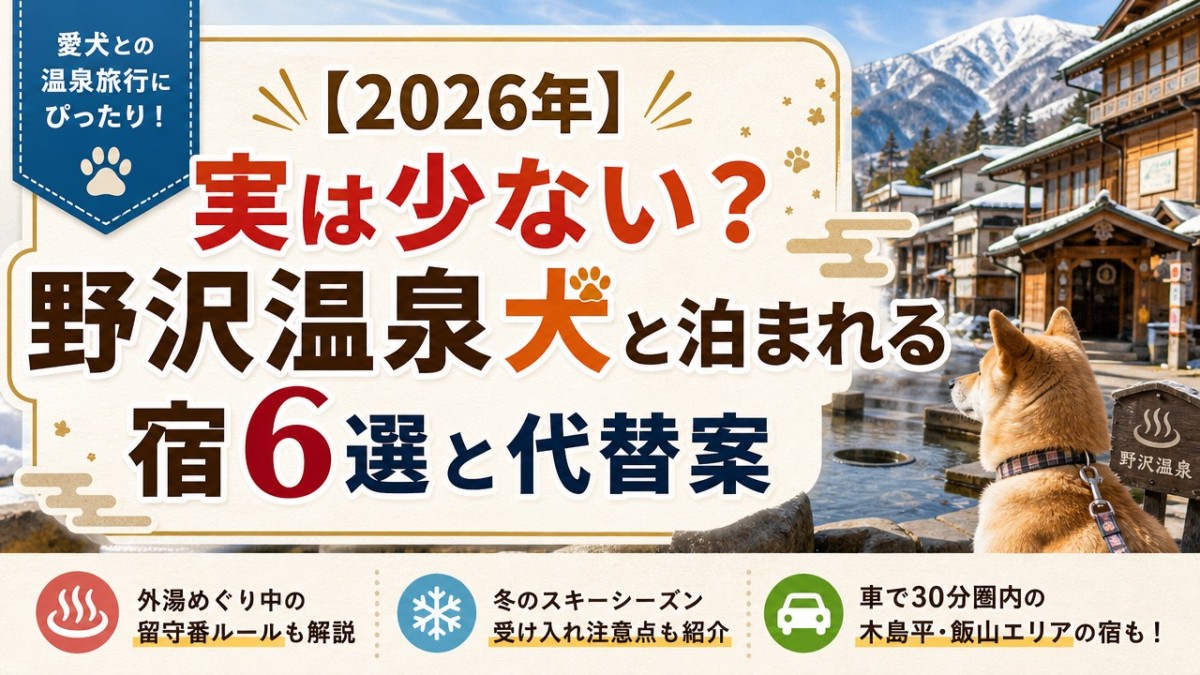 【2026年】実は少ない?野沢温泉犬と泊まれる宿6選と代替案