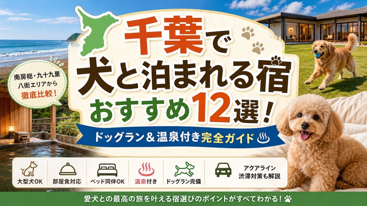 千葉で犬と泊まれる宿おすすめ12選!ドッグラン&温泉付き完全ガイド