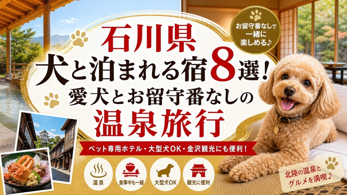 石川県犬と泊まれる宿8選!愛犬とお留守番なしの温泉旅行